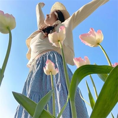 我在岛屿读书